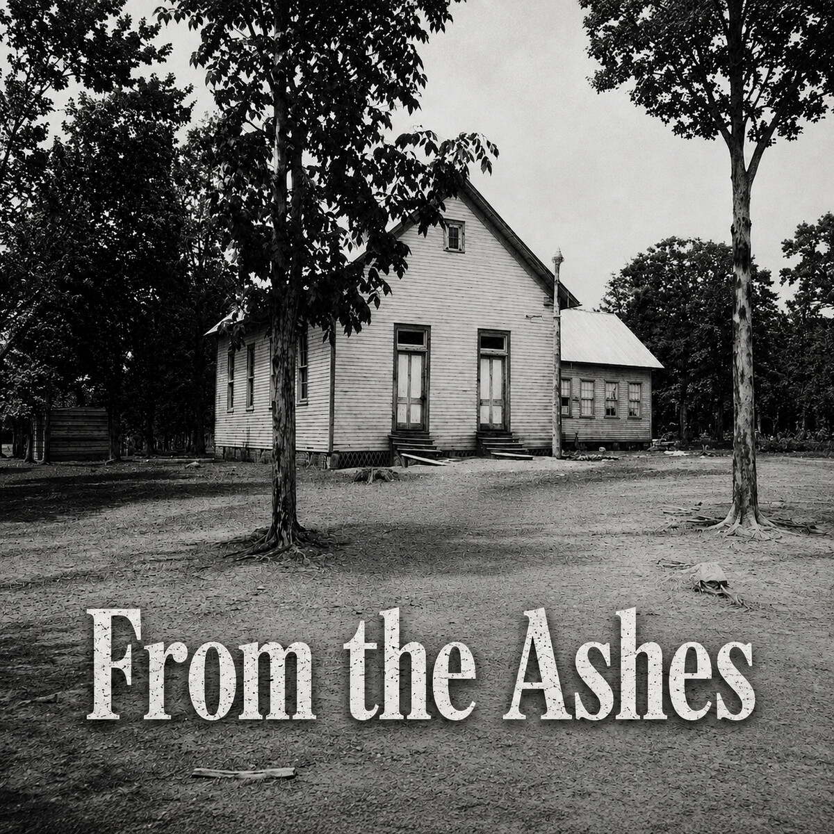 From the Ashes cover art